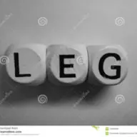 leg's icon
